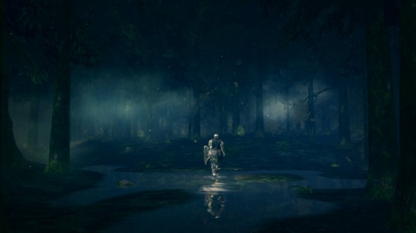 dark-souls-screenfb02